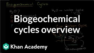 Biogeochemical cycles  Ecology  Khan Academy [upl. by Agon6]