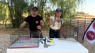 How to assemble a quail cage [upl. by Anegue]