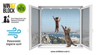 WinBlock®  PETS  Evcil Hayvanlar için Pencere Güvenlik Sistemleri [upl. by Oeak990]