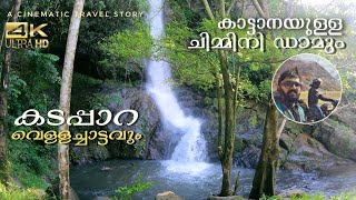 Kadappara Waterfalls  Chimmini Dam amp Wildlife Sanctuary Thrissur [upl. by Nallek631]