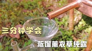 薰衣草精油一种副产品——薰衣草纯露，简单蒸馏即可创造芳香价值 [upl. by Myrle]