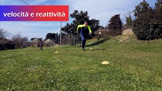 Allenamento alla velocita e reattività [upl. by Haerle577]