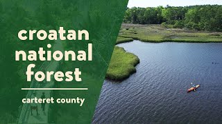 Croatan National Forest The Only True Coastal Forest in the East [upl. by Bradford]