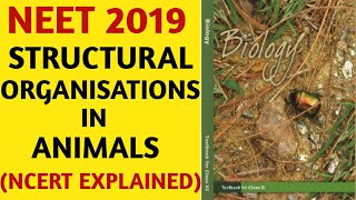 NCERTChapter 7Structural Organisation In AnimalsClass 11Quick Revision SeriesNEETAIIMSBiology [upl. by Celeski]