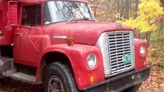 1973 International Loadstar 1700 dump truck [upl. by Angelika]