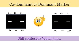 Dominant and Codominant Marker Clear the difference between the two [upl. by Inaflahk735]