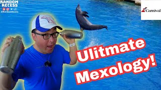 Carnival Excursion Ultimate Mexology Cozumel [upl. by Aidan]