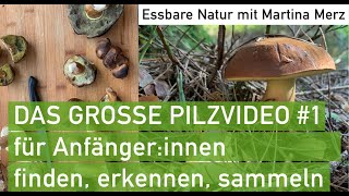 Großes Pilzvideo 1 für Anfängerinnen Essbare giftige und andere Pilze im September [upl. by Itsirc]