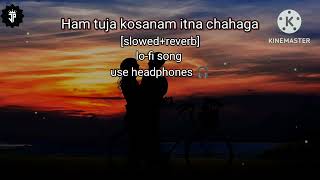 Ham tuja kosanam itna chahaga SLOWEDREVERB LOFI SONG  trending song ITZJPLOFICREATEAR [upl. by Daugherty74]