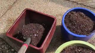 DIY Potting Soil How to make homemade potting mix [upl. by Merritt]