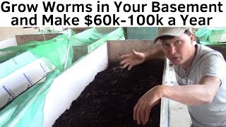 Make 60K100K a Year By Growing Worms in Your Basement [upl. by Sire]