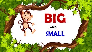 Big and Small  Comparison for Kids  Learn PreNumber Concepts [upl. by Safko869]