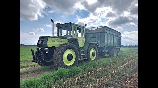 MB Trac 1300 Maisernte 2018 Soundvideo [upl. by Doig34]