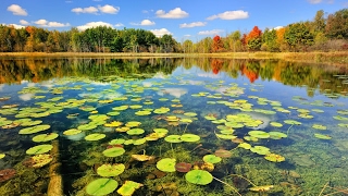 Anatoly Liadov  The Enchanted Lake symphonic poem Op 62 [upl. by Aeet]