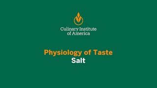 Physiology of Taste Salt [upl. by Brader]