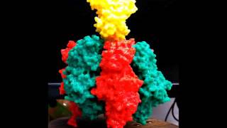 F1 ATPase [upl. by Celinda145]