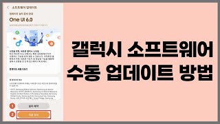 갤럭시 소프트웨어 수동 업데이트 방법예약설치 지금설치 [upl. by Racso]