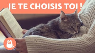 Comment les chats CHOISISSENTILS leurs MAÎTRES  🧍‍♀️🐈 Découvrez [upl. by Wenn]