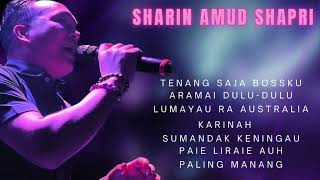 MEDLEY SONG  SHARIN AMUD SHAPRI [upl. by Ahsatel]