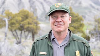 History of Elk Management with Yellowstone wildlife biologist Dan Stahler [upl. by Akital178]