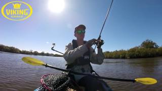 Maroochydore QLD Kayak Fishing⎟Bream Session [upl. by Eylrac]