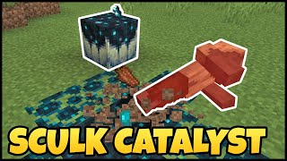 How To Use The SCULK CATALYST In MINECRAFT [upl. by Shorter]