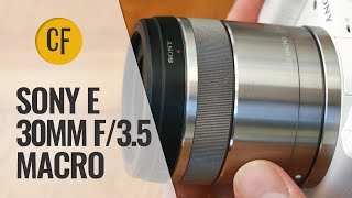 Sony E 30mm f35 Macro lens review with samples [upl. by Ahseiyk864]