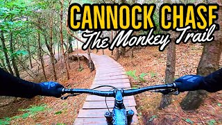 Riding The Monkey Trail Cannock Chase [upl. by Chung]