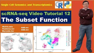 Seurat Video TutorialsVideo 12 The Subset Function [upl. by Notaek]