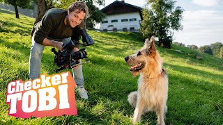 Der FilmtierCheck  Reportage für Kinder  Checker Tobi [upl. by Ynez]