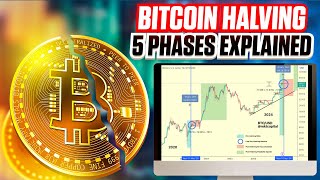 5 Phases of the Bitcoin Halving  Ultimate Guide For 2024 [upl. by Stuckey]