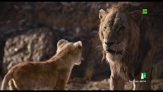 El Rey León 2019  Escena Encontrar su rugido  HD [upl. by Adnomal133]