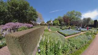 Filoli Gardens April 2019 [upl. by Adachi576]