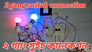 How to Wire a 2 Gang Switch  Two Gang Switch Connection [upl. by Jem517]