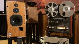 Harbeth SHL5 Plus XD at Delve Audio [upl. by Aihsad669]