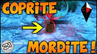 Lets Find Coprite and Mordite  No Mans Sky Gameplay S1E7 Z1 Gaming [upl. by Berthold]