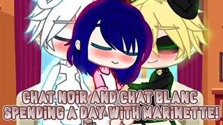 Unseen Marichat Scene P2  Miraculous Ladybug Comic Dub [upl. by Wilhide]