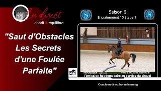 Saut dObstacles Les Secrets dune Foulée Parfaite coachendirecthorselearning [upl. by Colier]