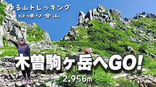 【長野県】木曽駒ヶ岳へGO 登山初心者でも登れる絶景アルプス⛰夏のお花畑と迫力の稜線歩きを楽しんだ 日帰り登山 ４K [upl. by Klenk]