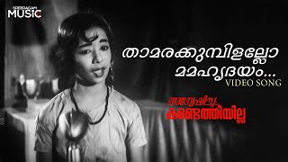 Thamarakumbilallo Mamahridayam Video Song  Anveshichu Kandethiyilla  S Janaki  M S Baburaj [upl. by Alraep]