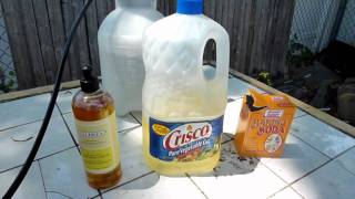 How to DIY Organic InsecticideFungicide recipe [upl. by Yllitnahc248]