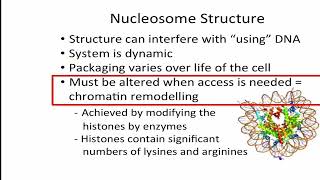 Nucleosome structure [upl. by Ratcliff955]