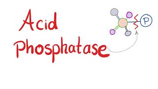 Acid Phosphatase  Lab Test 🧪  What’s the Use [upl. by Tnayrb995]