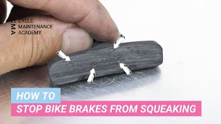 How To Stop Bike Brakes From Squeaking In 5 Simple Steps [upl. by Adnahcal]