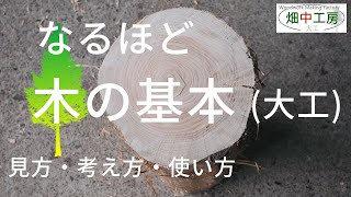 【必見】大工の教えにくい木の基本・見方・考え方・使い方を解説。How to see and use trees [upl. by Aitrop784]