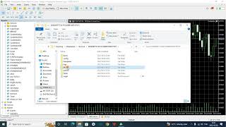 How to Setup amp Install a Trading Robot on trading Terminal MetaTrader 5 [upl. by Nnyllaf]