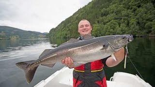 Angeln in Norwegen Dalsfjord Hexenkessel SeelachsDorsch Pollack und Co in Westnorwegen [upl. by Arturo]