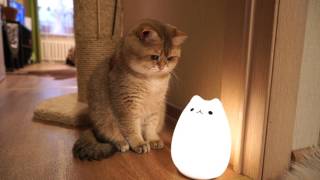 Cat Lamp amp Hosico [upl. by Reldnahc]