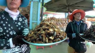 Amazing Cambodian Country Village Foods  Grilled Cricket Spider Scorpion Silkworm and More [upl. by Calypso507]