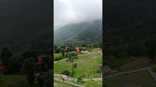 Beautiful view  pangot resort nainital [upl. by Harrat371]